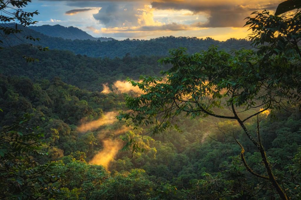 Mashpi Lodge - Luxury and Adventure in the Cloud Forest of Ecuador